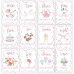 Watercolor Monthly Milestone Cards